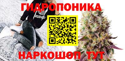 PSILOCYBIN Пенза