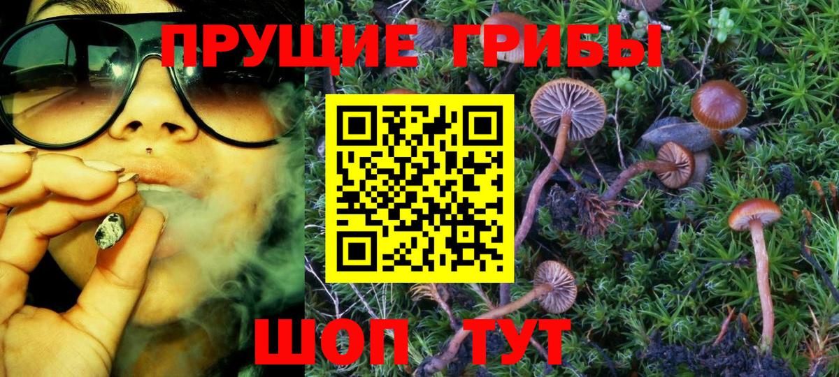 Псилоцибиновые грибы мухоморы Симферополь