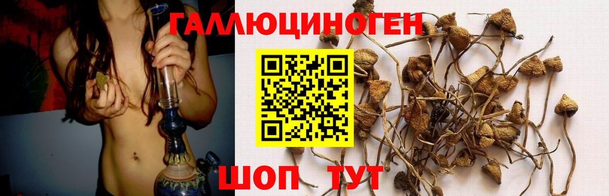 Симферополь  купить наркоту  Вход с VPN  Псилоцибиновые грибы мухоморы 